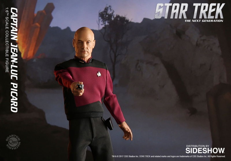 Illustration for article titled Captain Picard Collectible Figure Is Big, Bald, and Beautiful
